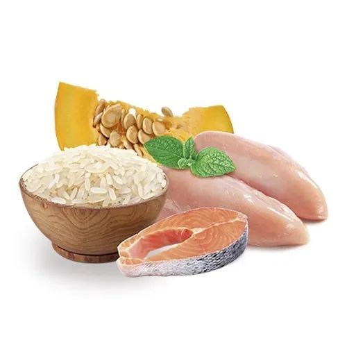 Повнораціоний сухий корм для дорослих собак малих порід Home Food для здорової шкіри та блиску шерсті "Індичка та лосось" 0.7 кг 2493554780 фото