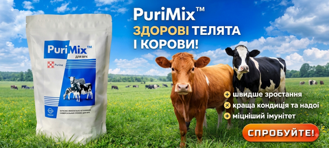 Banner from design