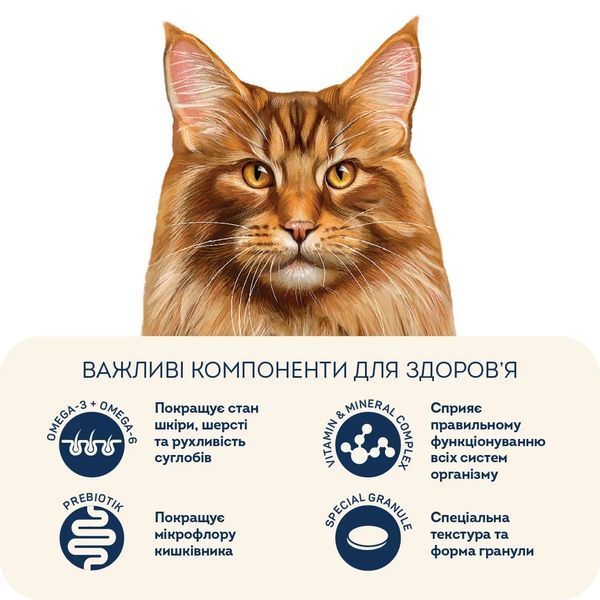 Сухий корм Home Food для стерилізованих/кастрованих котів великих порід Телятина з лососем та в&rsquo;яленими томатами 400 г 2300759308 фото